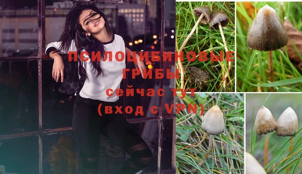 стафф Верхний Тагил