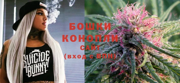 стафф Верхний Тагил