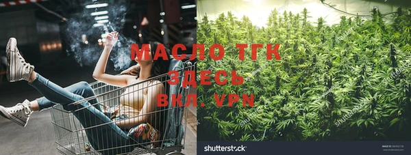 стафф Верхний Тагил