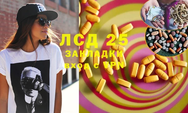 гидра Верея