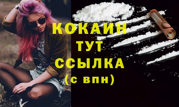 стафф Верхний Тагил