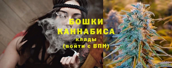 стафф Верхний Тагил